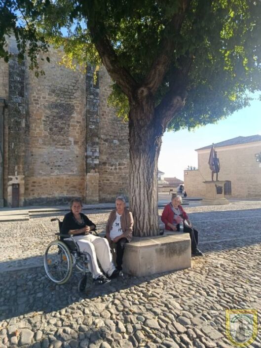Residencia Mayores Arjona al mercadillo (4)