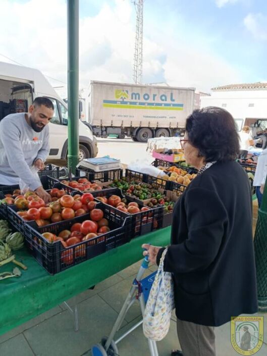 Residencia Mayores Arjona al mercadillo (7)
